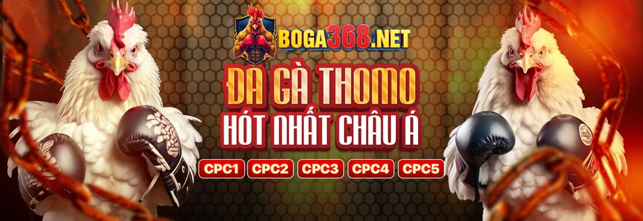 Đá Gà Trực Tuyến Hấp Dẫn tại yo88 chính thức